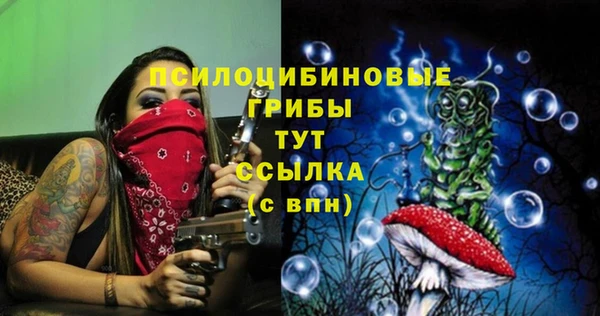 2c-b Алексин