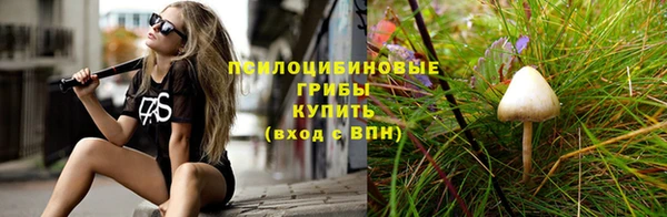 2c-b Алексин