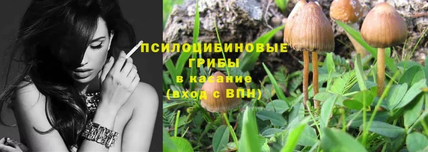 2c-b Алексин