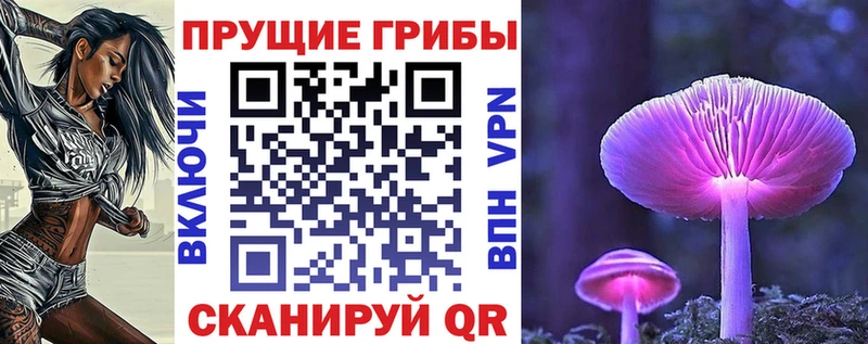Галлюциногенные грибы MAGIC MUSHROOMS Родники